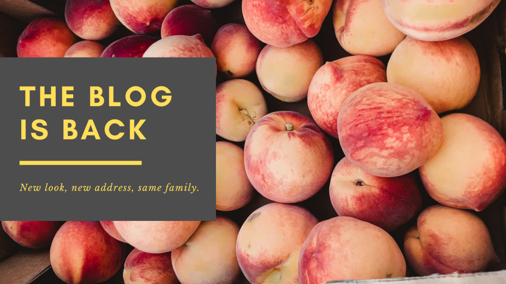 Yep, the blog is&nbsp;back!